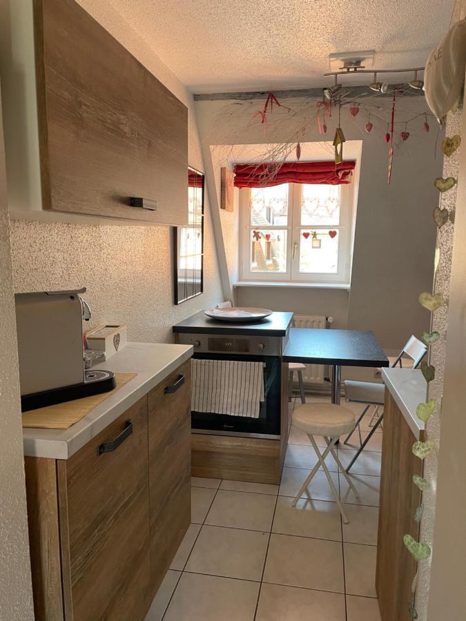 Aux Petits Coeurs De Colmar Petite Venise Apartment Bagian luar foto
