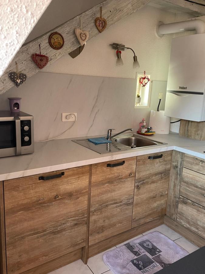 Aux Petits Coeurs De Colmar Petite Venise Apartment Bagian luar foto