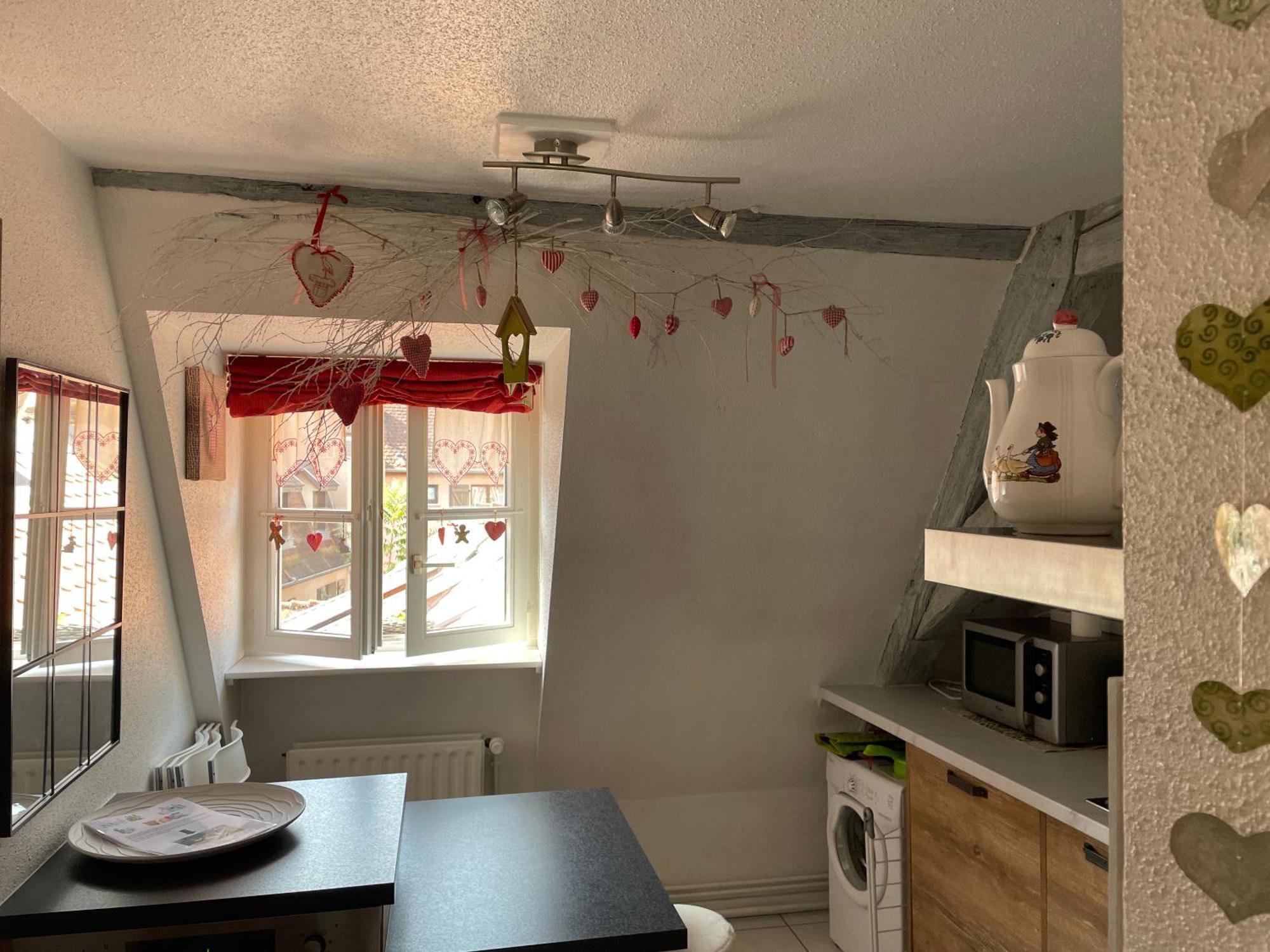 Aux Petits Coeurs De Colmar Petite Venise Apartment Bagian luar foto