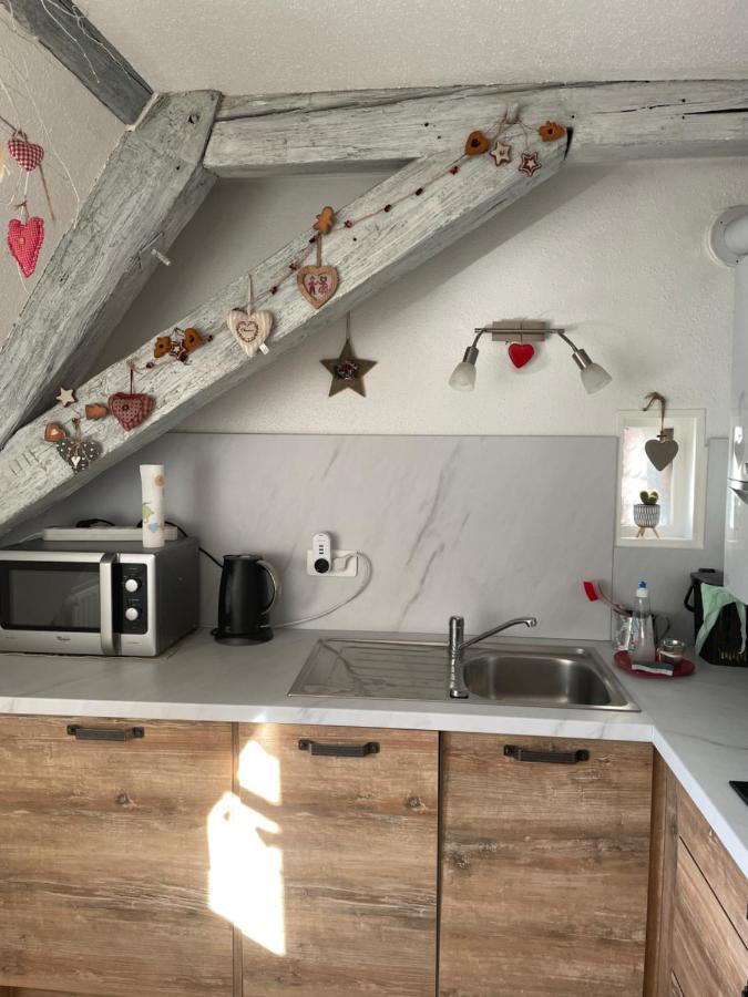 Aux Petits Coeurs De Colmar Petite Venise Apartment Bagian luar foto