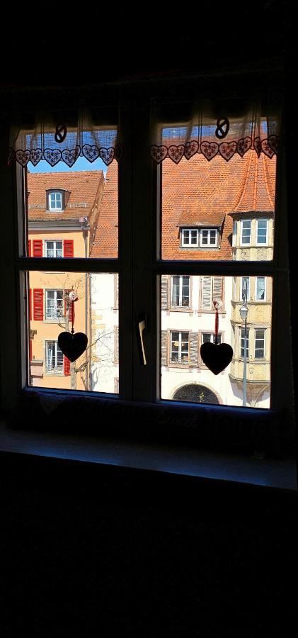 Aux Petits Coeurs De Colmar Petite Venise Apartment Bagian luar foto