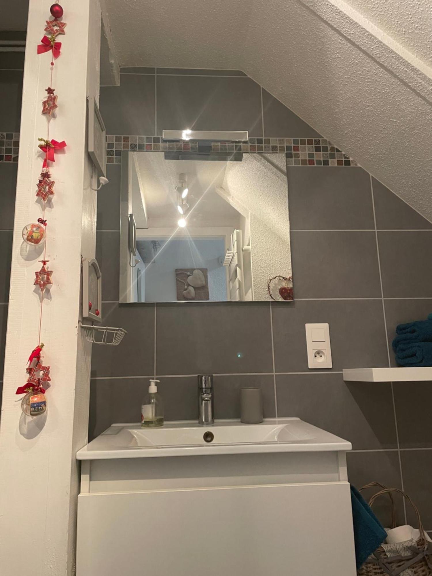 Aux Petits Coeurs De Colmar Petite Venise Apartment Bagian luar foto