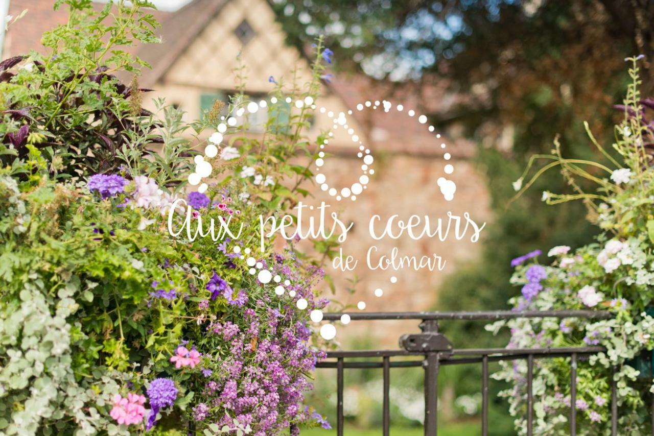 Aux Petits Coeurs De Colmar Petite Venise Apartment Bagian luar foto